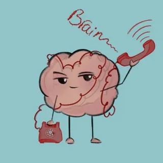🎬Better Call Brain!