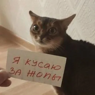 Почеркушки RuaLann | Art