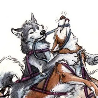 Yiff Junkyard