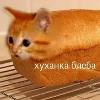 Чаевничаем с Dok 🌸 [18+]