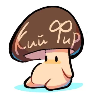 Кий фир