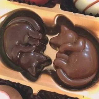 chocolate confession