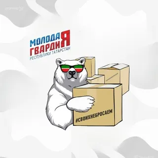 Гуманитарный штаб МГЕР