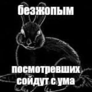 diziill инфо