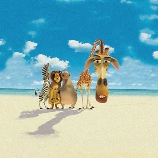 Enigma чат