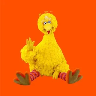 💯bihbird
