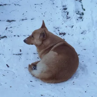 Рэй-Рэй фоткает