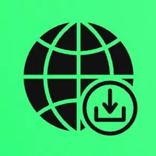 Download videos, stories and reels from Instagram and TikTok