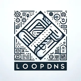 LoopDNS Plan