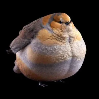 Мысли бедных