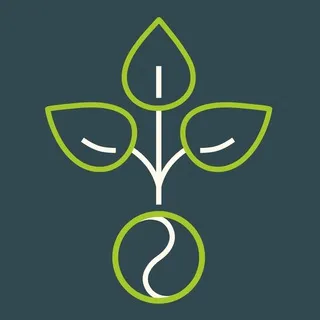 Heilstoff | Ganzheitlich gesund 🌱