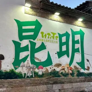 昆明 玉溪 版纳 楚雄 曲靖实体会所