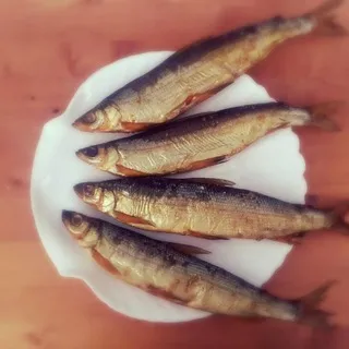 РЫБА СЕВЕРНАЯ