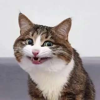 Вииртовски хаммам🍫🩷🪽
