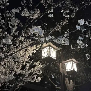 ✿『清水貴之』✿