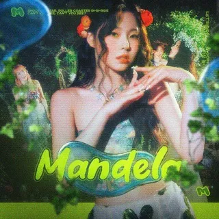 💚 团体【 𝓜αnde𝓵α 】
