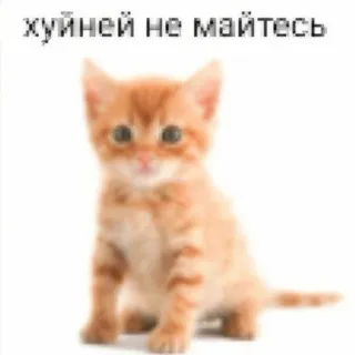 Просто Жёлти