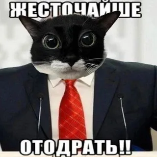 Котякор