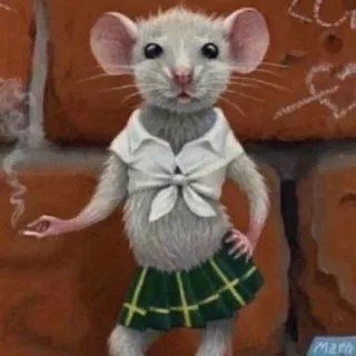 помело