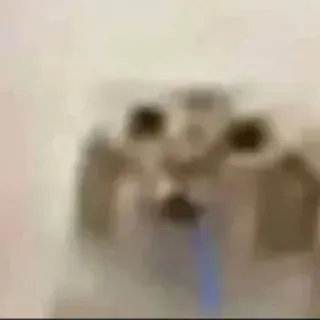 рвотыш ЕХХХtRA🍞666+ебебббнбббпррюн