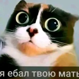 Щп Экстренного долбаеба