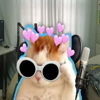 Nikkat и точка