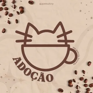 ᘇ 𑄝 יִ ׄ 𓈒 𝗴𝗮𝘁𝘁𝗼 𝗮𝗱𝗼𝗰̧𝗮̃𝗼 𓂃 ☕ ⌑