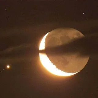 𝑀𝑜𝑜𝑛𝐷𝑢𝑠𝑡 𝑆𝑜𝑛𝑔𝑠🍀🌙