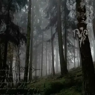 1slip loop