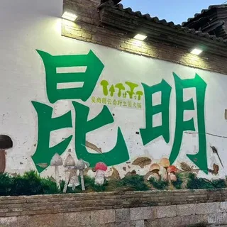昆明 大理 版纳实体会所