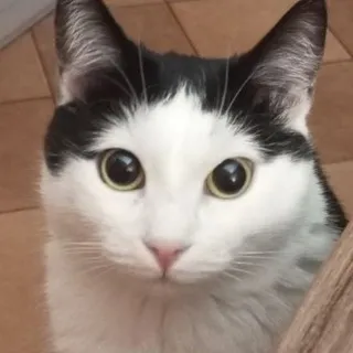 Таптал тапталит💖