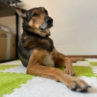 kasper.