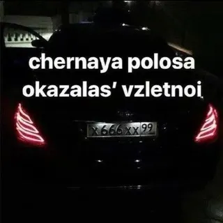 qzxsc13 щитпостит