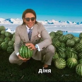 kvrkk 🍅
