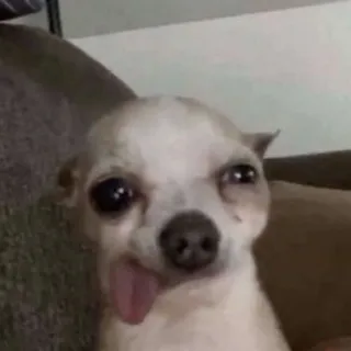 M€MES R@NDOM😔✋ᶜʰᵃᵗ