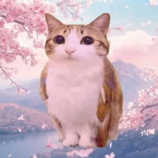 ℨ𝔢𝔱𝔱𝔢𝔩𝔨𝔞𝔰𝔱𝔢𝔫