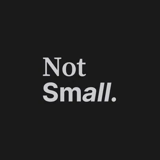 Not Small. menswear