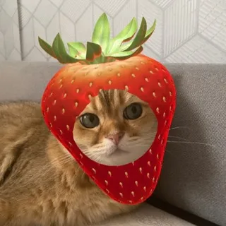 ягодное безобразие