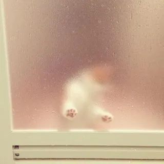 чон’s room 🖇️