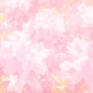 ૮꒰っ˃"""˂""ᥴ꒱ა ｡ 우아 ° zZ