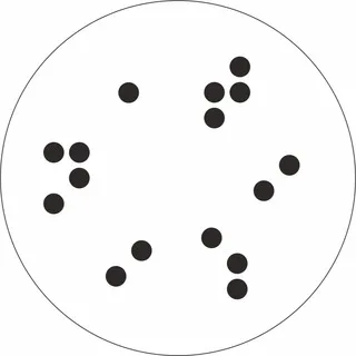 из ТИШИНЫ