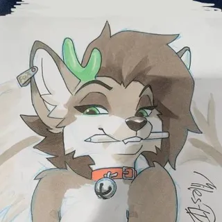 Fox.s_Box