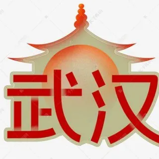 武汉丽宫好评榜