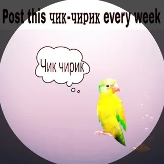 Птичка запечатличка