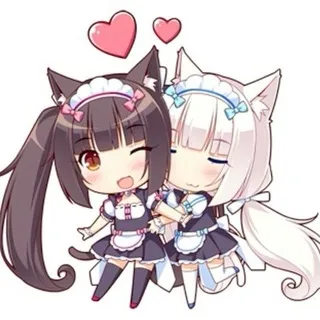 🍩chocovanilla info🍦