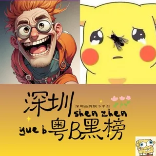 深圳粤B黑榜雷报
