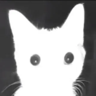 𝐝𝐢𝐟𝐨𝐱𝐱𝐱