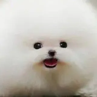 yuf!e
