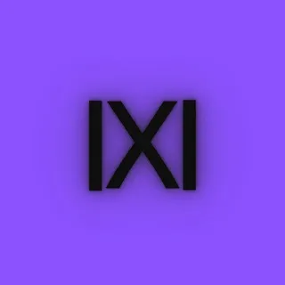 1X1
