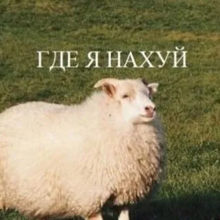ебейшие статусы на каждый день